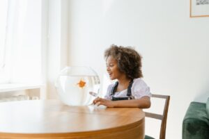fish bowl 